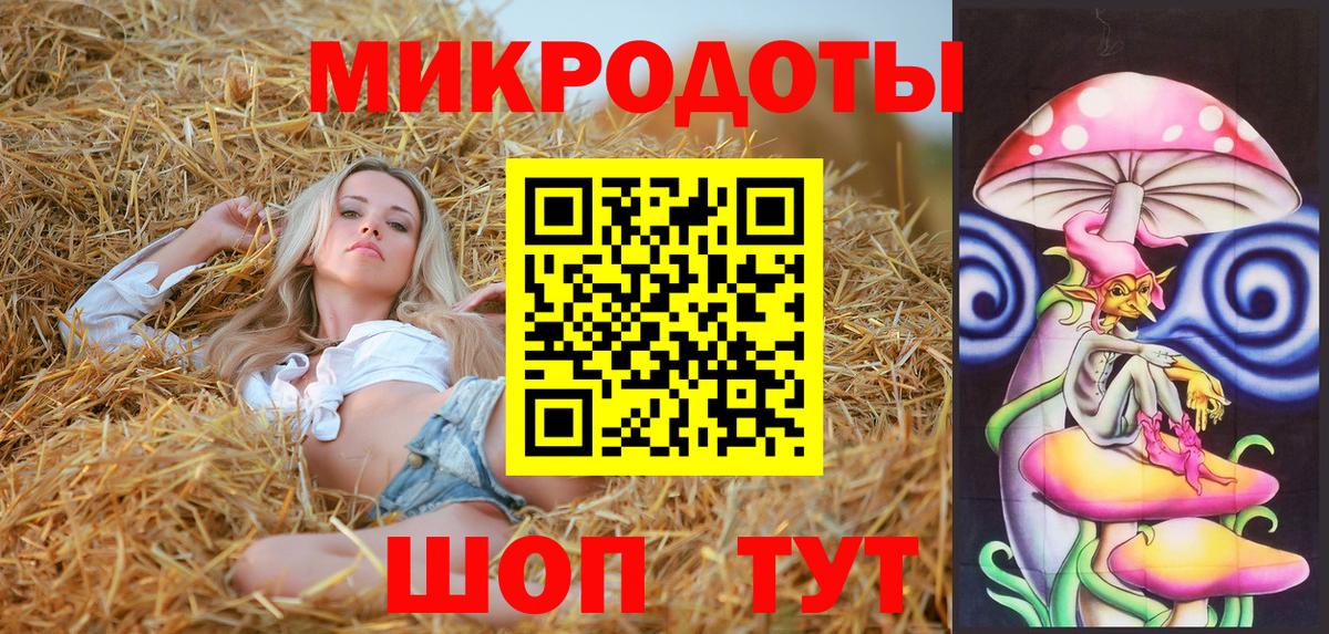 Псилоцибиновые грибы Cubensis Менделеевск
